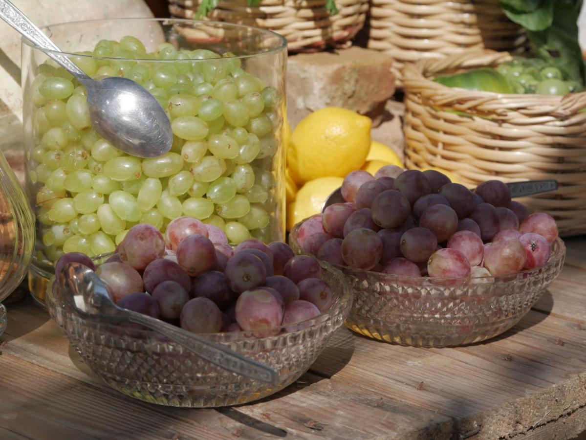 Gastronomy Hotel Kritsa بورتاريا المظهر الخارجي الصورة